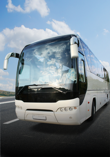 Buses y Minibuses