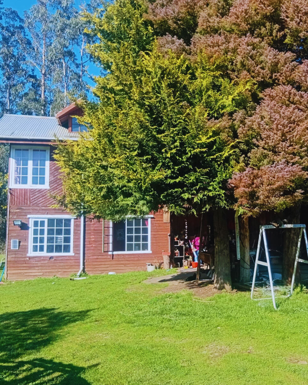 Terreno Agrícola con Casa Nueva Imperial - foto 1