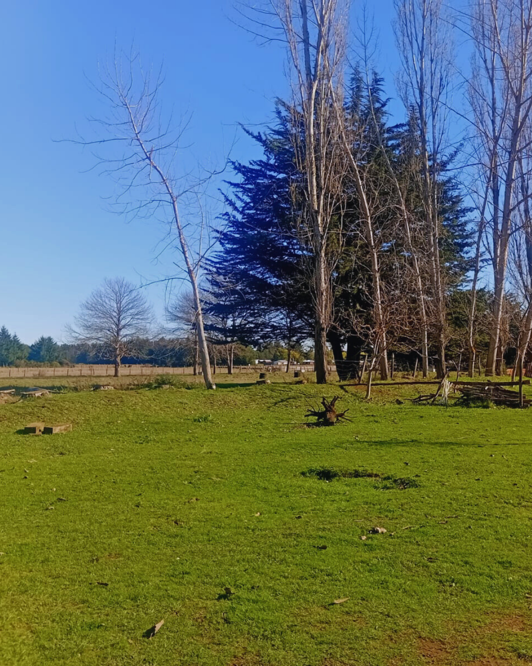 Terreno Agrícola con Casa Nueva Imperial - foto 2