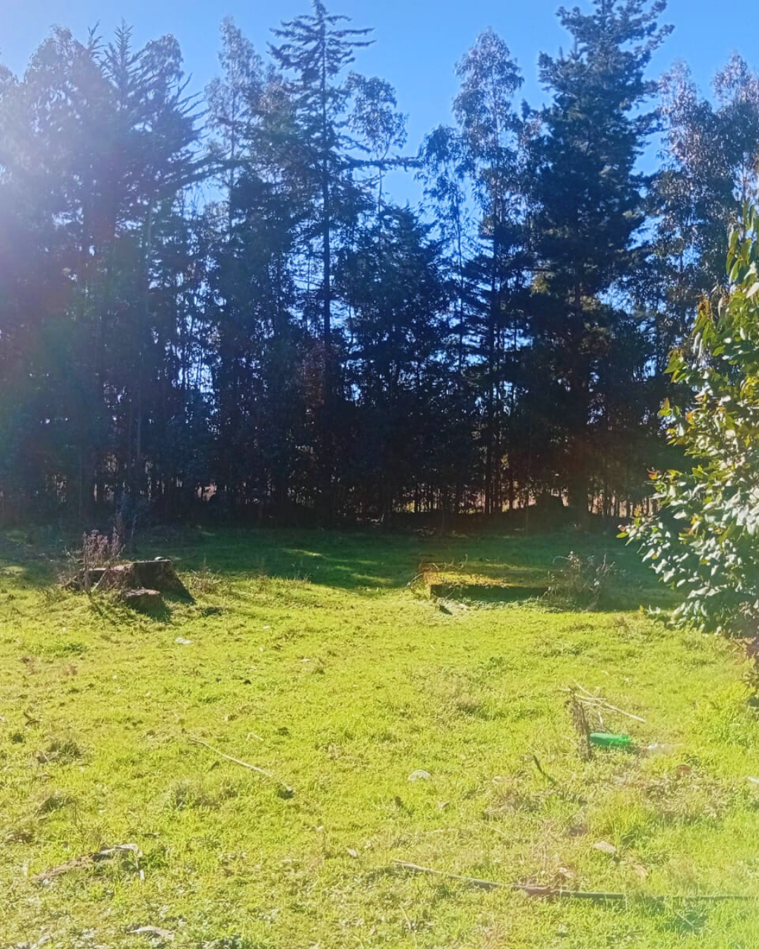Terreno Agrícola con Casa Nueva Imperial - foto 3